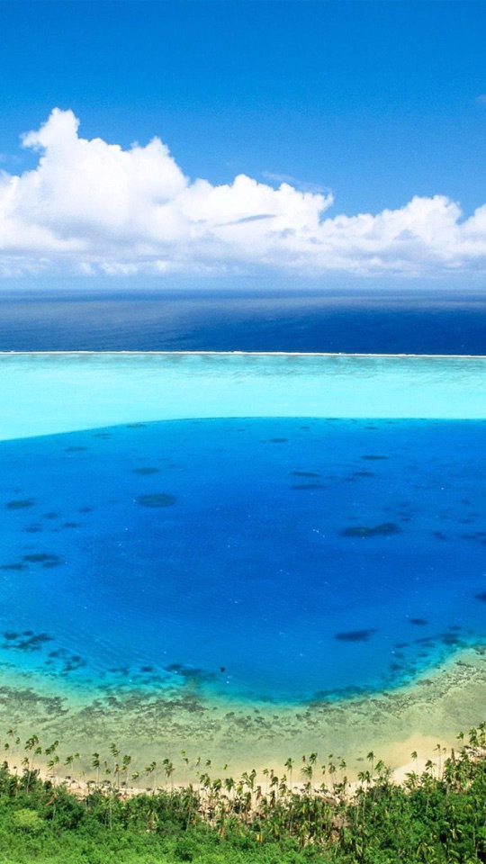 上空から見た環礁の青い海と白い砂浜、椰子の木が広がっています。