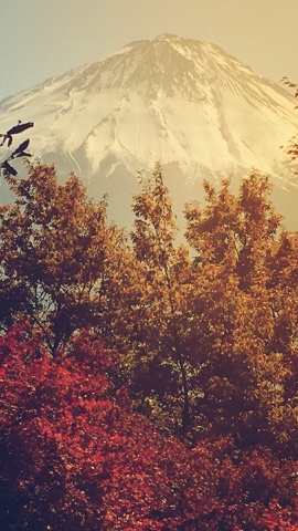 紅葉と雪の富士山