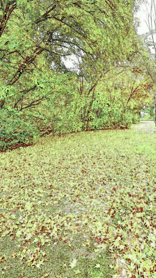 緑を残した公園の木立と芝地