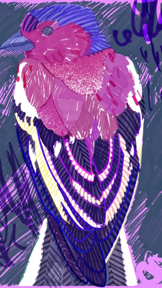 青灰の地に、紫と桃色で彩られ、青い線で羽を描き込まれた鳥が装飾的に描かれます。