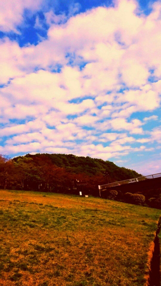 青空と桃色がかった雲の下、木立の丘と黄褐色の草地が広がる加工写真。