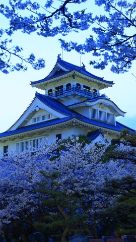 桜に包まれた城