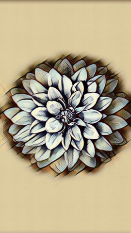 白菊の細密画
