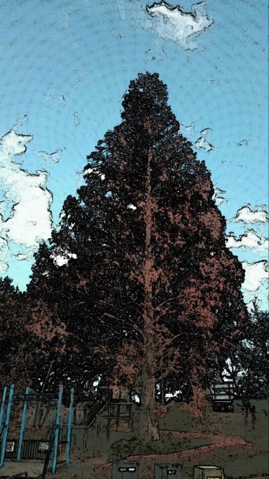 青空と白い雲を背景に、公園にそびえる背の高い針葉樹を描いた漫画調の加工写真。