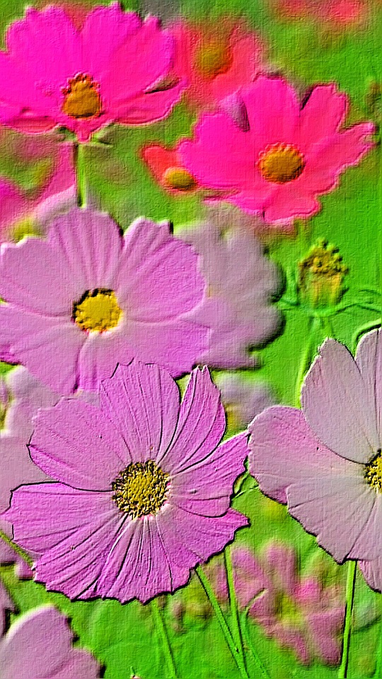 絵画調の加工で、ピンクや薄紫のコスモスが緑の背景に咲き並ぶ縦長の写真。