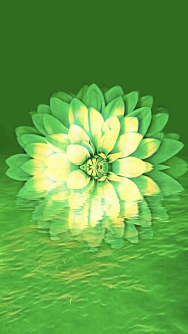 緑に映える花