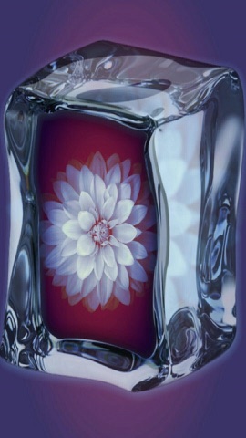氷塊の中の白花