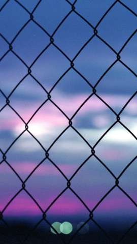 金網越しの夕空