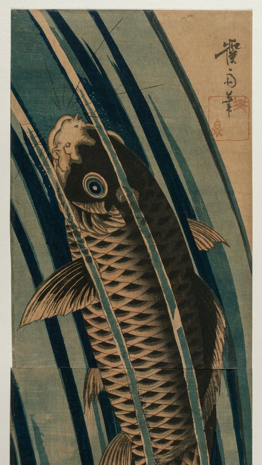 渓斎英泉の浮世絵。白い水しぶきを上げる青い滝を、一匹の鯉が登っていく。
