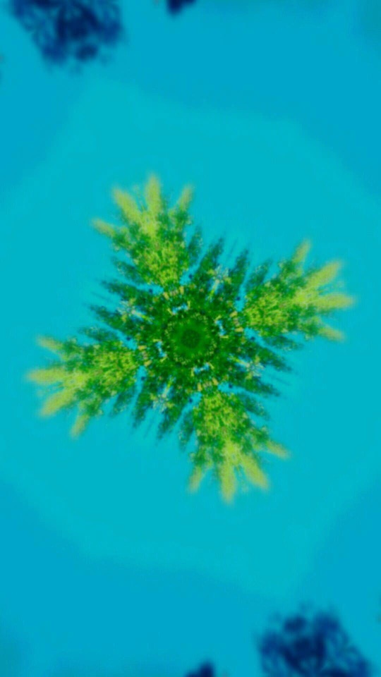 緑の羽状の葉を万華鏡状に対称配置し、青緑の空に浮かべた抽象画像。