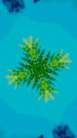 青空に広がる緑の万華鏡