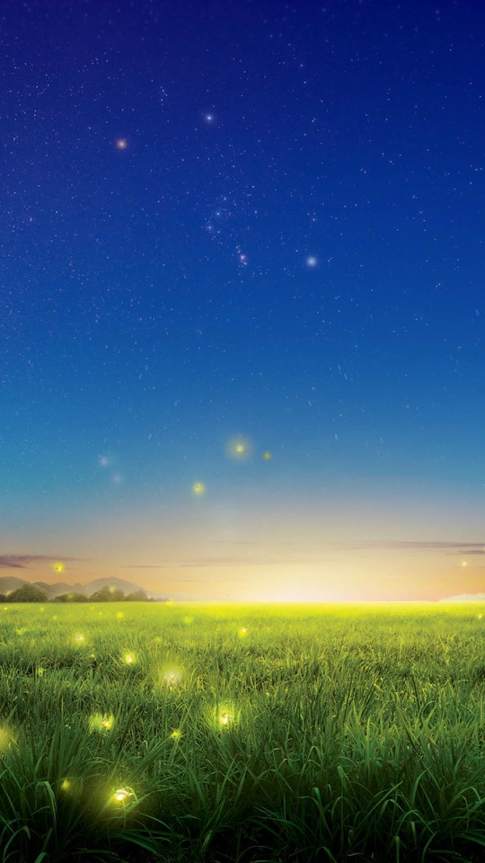 夕暮れの草原に光の粒が舞い、地平が淡く光っています。