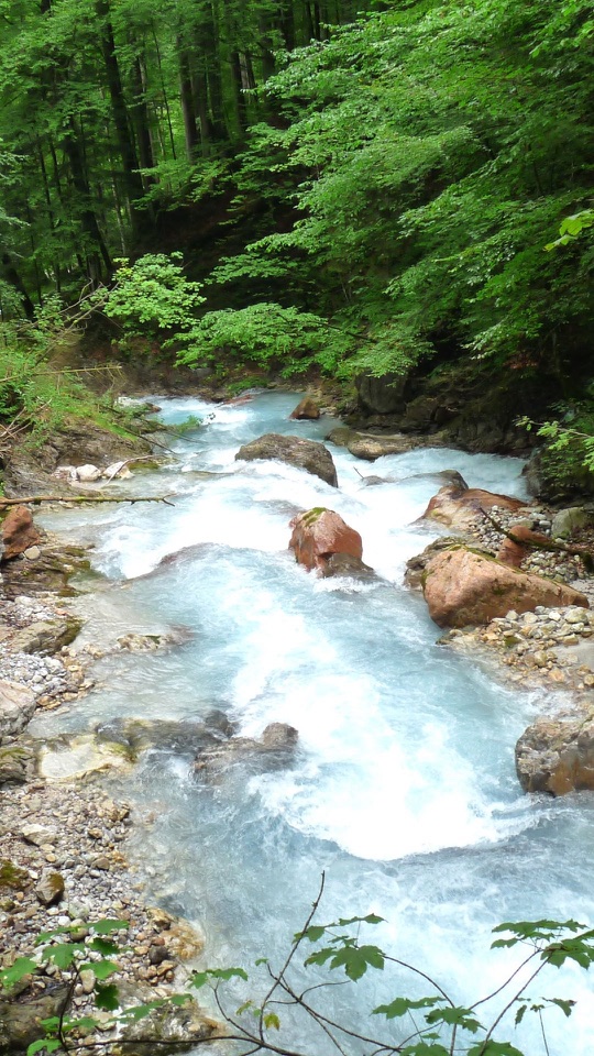 緑濃い森の斜面を青白い水しぶきを上げて流れ下る渓流と岩。