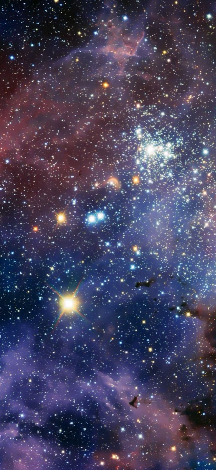 紫と青の星雲に、無数の星と明るい星団が広がる宇宙の写真。