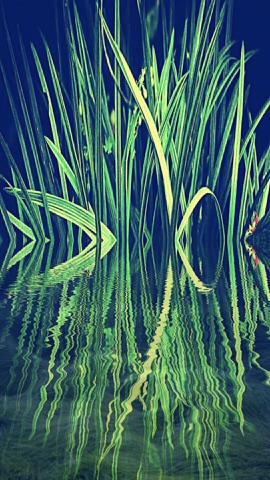 青に映る草の影