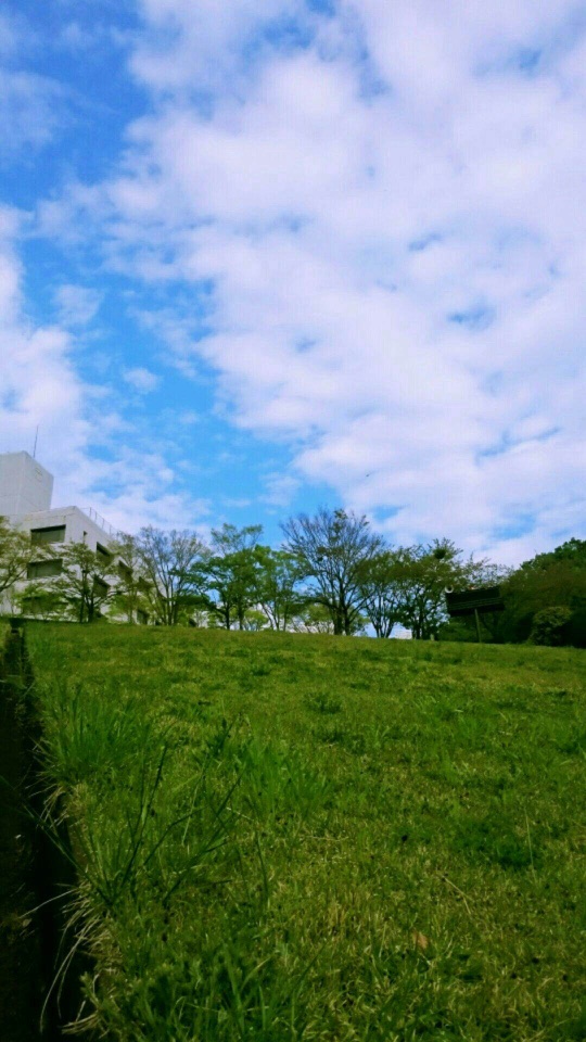 青空と白い雲の下、緑の草の斜面と奥の木立や白い建物が広がる写真。