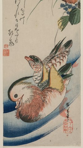 歌川広重の花鳥版画。水辺に浮かぶおしどりのつがいと、上部に垂れる草花。