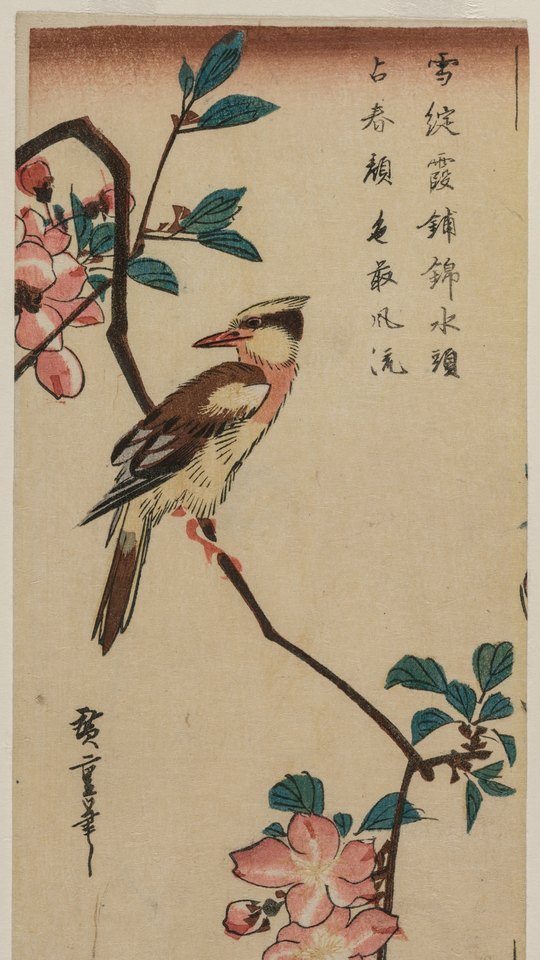 歌川広重の花鳥版画。桃色の海棠の花枝に、黄色いコウライウグイスがとまる。
