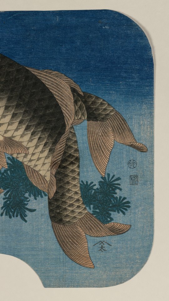 葛飾北斎の版画。青い水中を泳ぐ二匹の鯉と、揺れる水草。