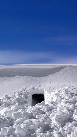 雪原の洞