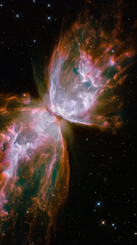 ハッブル宇宙望遠鏡の画像。黒い宇宙に、蝶の羽のように広がる紫と桃色のガス。