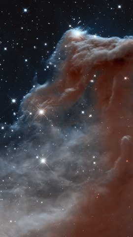 ハッブル宇宙望遠鏡の赤外線画像。星の光る空を背に、馬の頭の形をした暗いガス雲が立ち上がる。