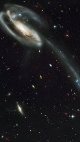 ハッブル宇宙望遠鏡の画像。黒い宇宙に長い尾を引く銀河と、背景に散らばる無数の小さな銀河。