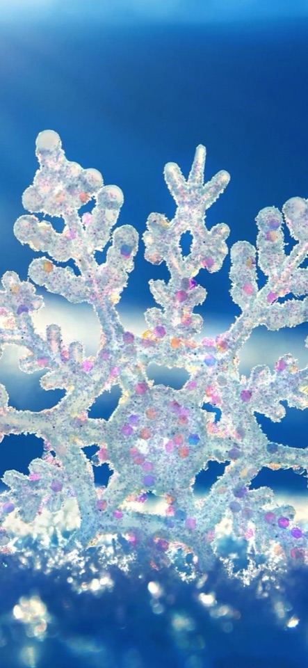 青い背景に、きらめく氷の雪の結晶の装飾が輝く写真。