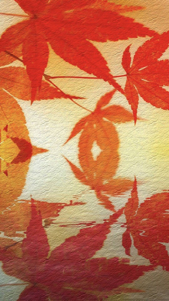 赤い紅葉が水面に映り上下対称になる