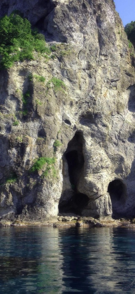透明な青緑の海に面した灰色の岩壁に洞窟が口を開け、緑の草木が張り付く海辺の写真。