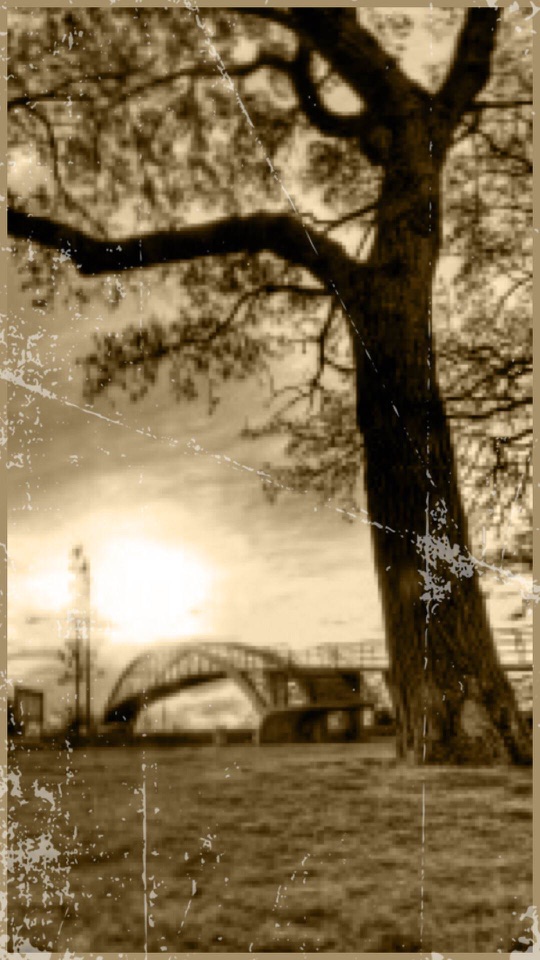 セピア調で、川辺に立つ大木の幹越しに、夕日とアーチ橋を写した縦長の写真。かすれた縁取りがかかる。