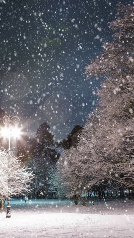雪降る夜の公園