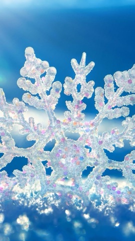 青空の雪の結晶