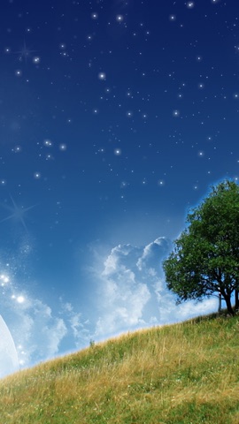 星空と丘の一本木