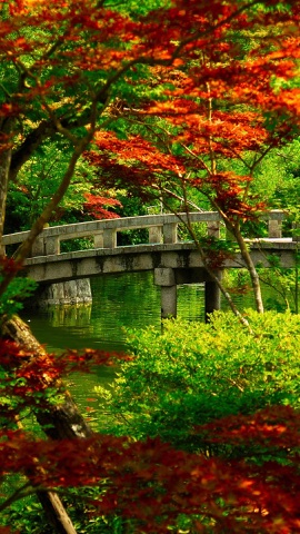 紅葉の庭の石橋