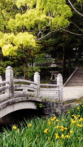 日本庭園の石橋