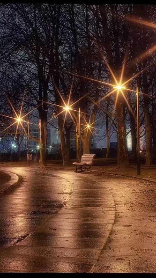 夜の並木道に街灯が星形に輝き、濡れた路面に光が映る秋の公園の写真。