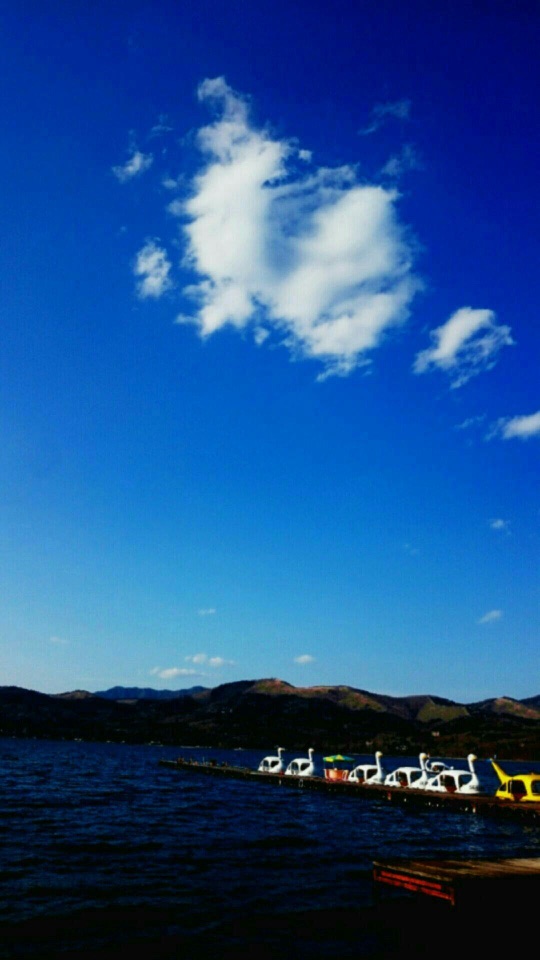 濃い青空に白い雲が浮かび、湖面には白いスワンボートが並ぶ縦長の写真。