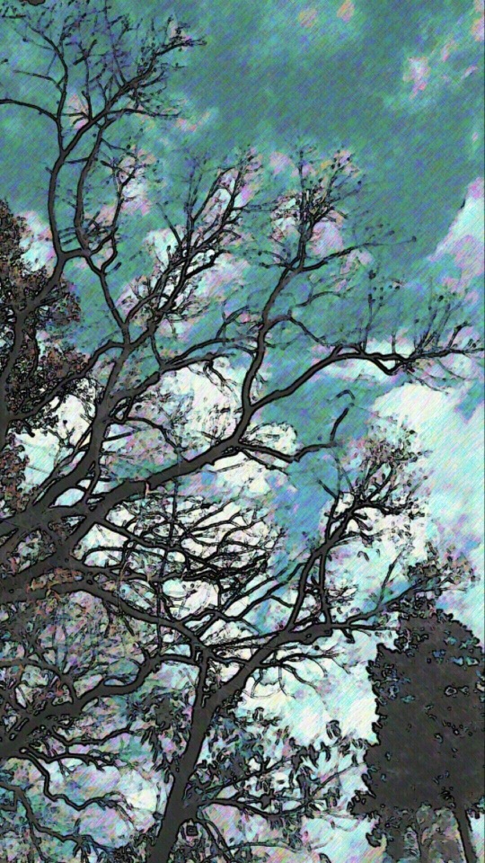 青緑の空を背に、葉を落とした木の枝が四方へ伸びる漫画調の加工写真。