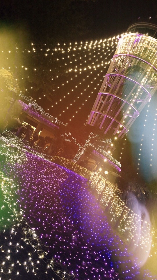 夜空に張り巡らされた金色の光の網と、紫や金に輝く塔、地面を覆う電飾を写した縦長の写真。